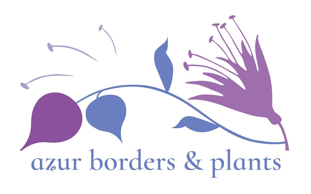 Azur Plants and Borders Bury St Edmunds