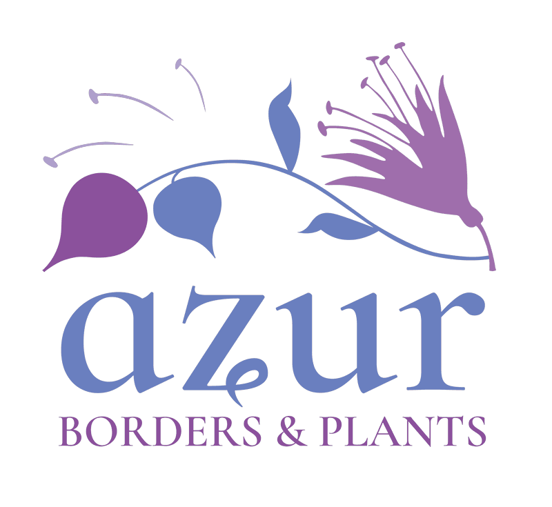 Garden Design and maintenance bury st edmunds suffolk